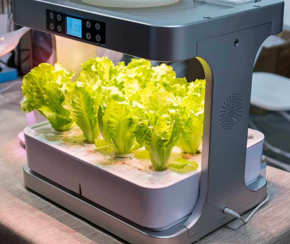 7 Creative Value-Added Product Ideas For Small Producers