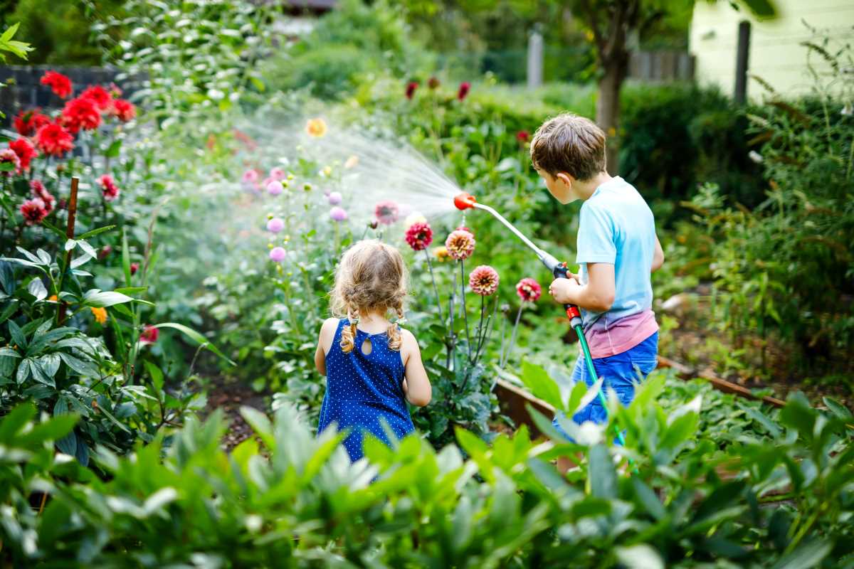 Master Water Conservation With Practical Garden Education
