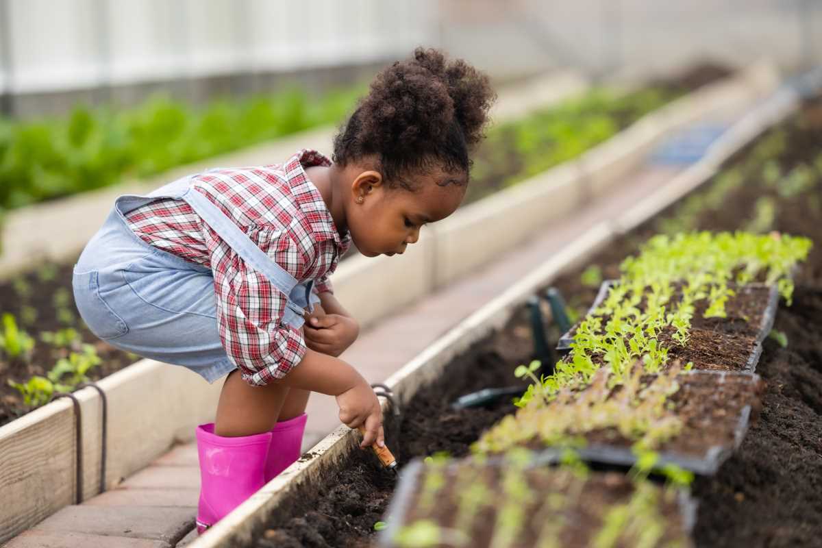 5 Ways to Kickstart Community Garden Education at Local Schools