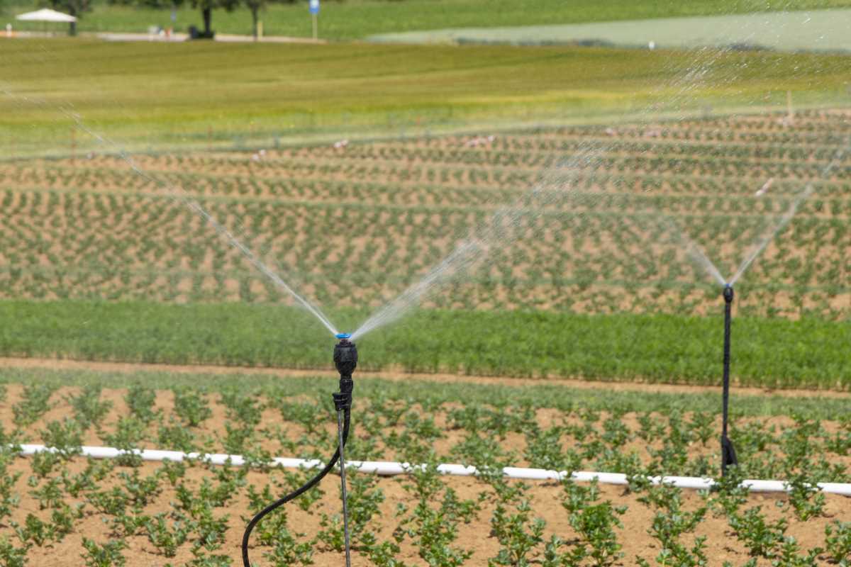 Affordable Drip Irrigation Kits That Boost Small Plot Yields