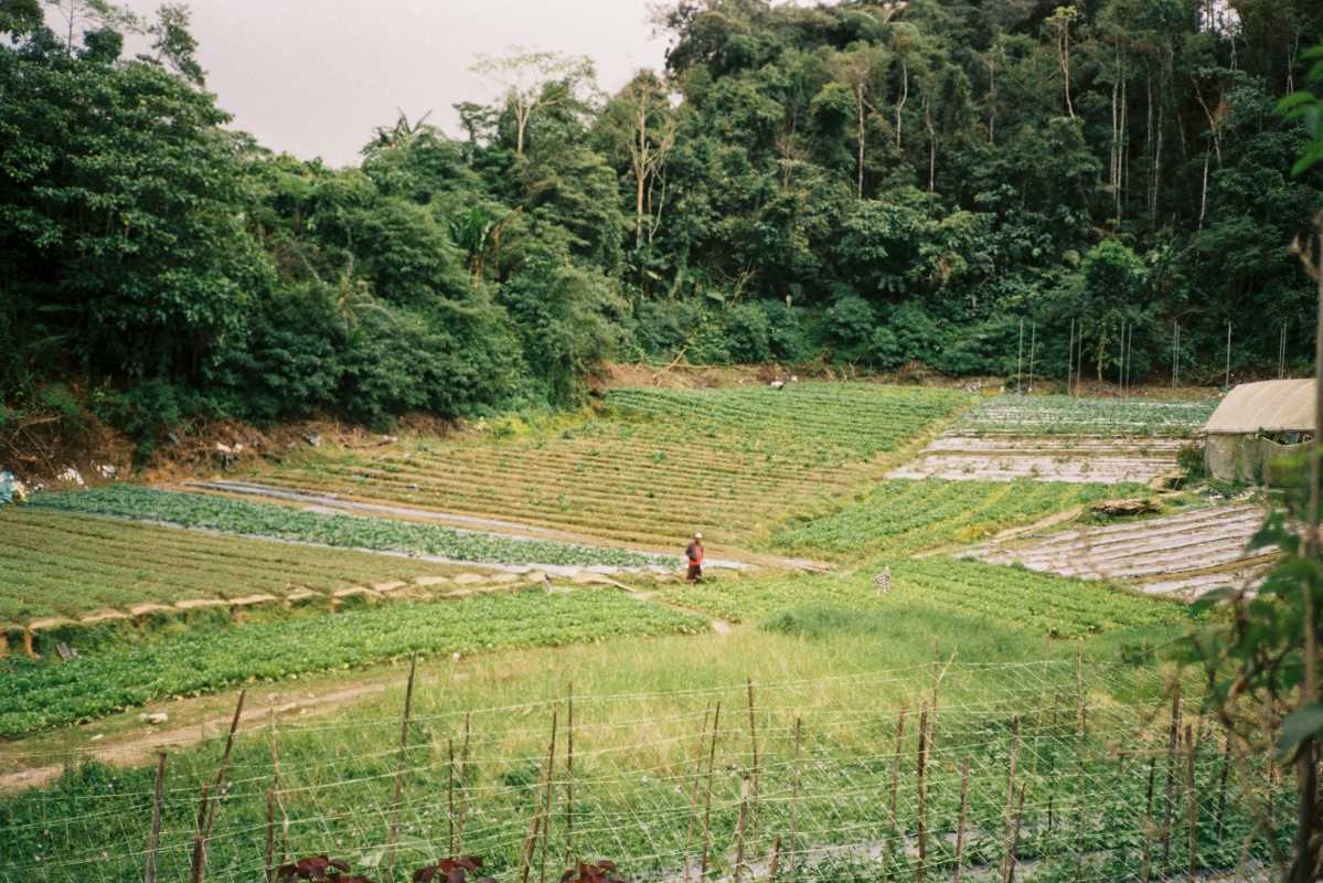 Unlock the Power of Permaculture With Hands-On Design Workshops