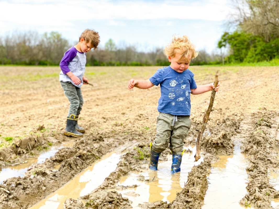 How to Launch Effective Farm Safety Training for Children on Working Properties