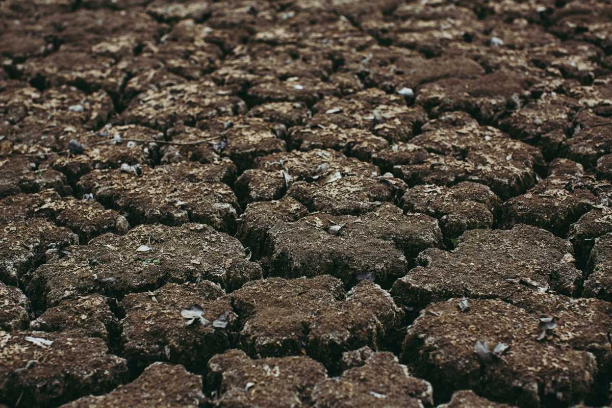 Proven Tips for Boosting Pasture Health With Soil Moisture Sensors