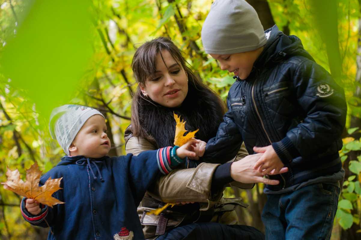 How to Identify Local Plants on Guided Nature Walks