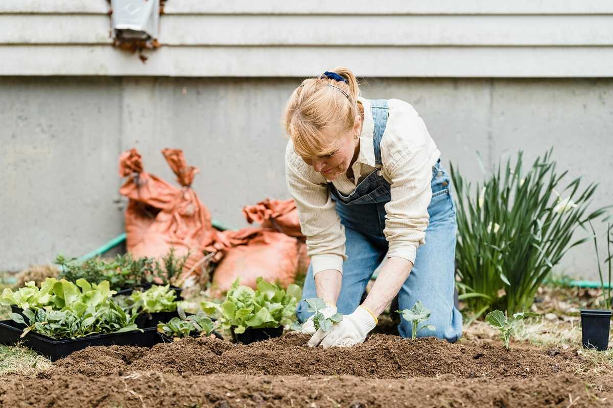 Best Online Courses to Master Sustainable Home Growing