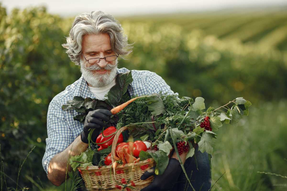 Tips For Managing A Successful CSA Subscription Service