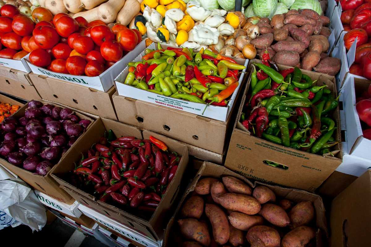 Follow Essential Steps to Launch a Profitable Farm Stand This Season