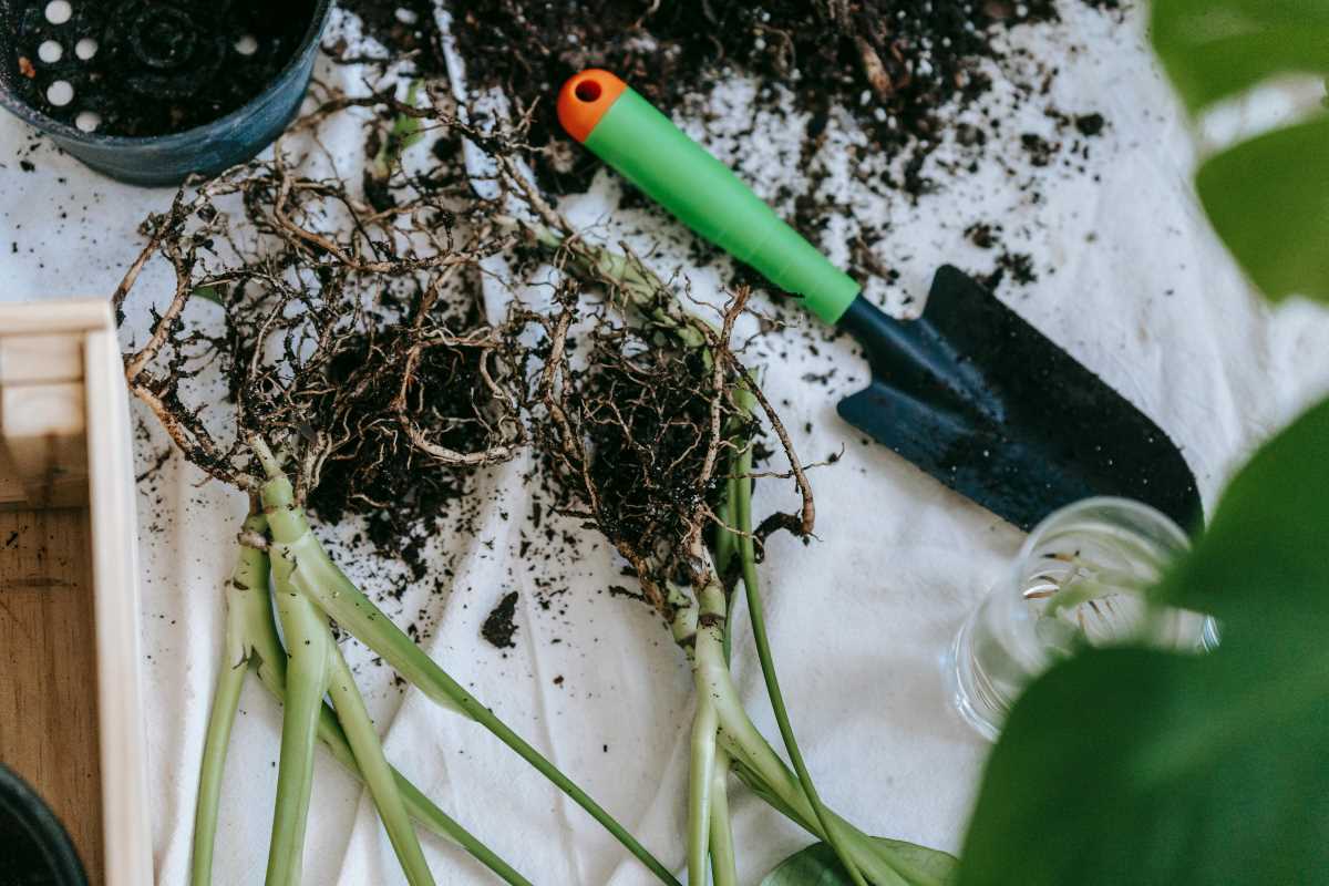 Organizing Cooperative Buying Groups For Garden Supplies